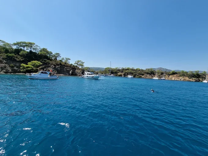 galeri_20260216_191831_4faaa2803dec145f5afb